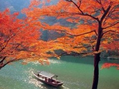 简介：