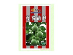 供应观赏葫芦种子图2