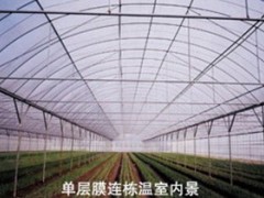 膜温室图2