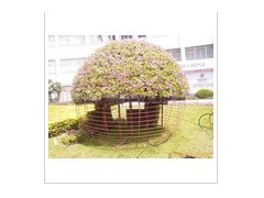 供应各类立体花卉图2