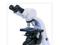 显微镜 (1)