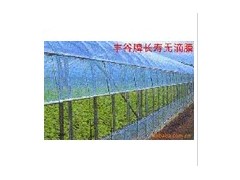 防流滴丰谷膜图2