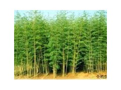 简介：