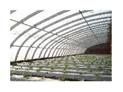 大棚骨架日光温室生态餐厅图3