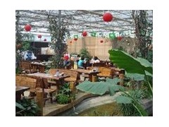 生态餐厅图2