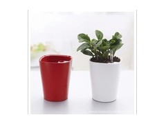 塑料花盆图2