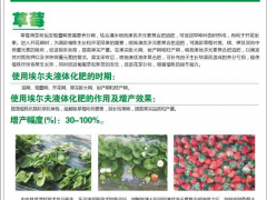 澳优液体肥料图3
