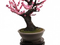 简介：