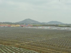 简介：