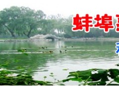 简介：