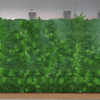 墙体种植袋--墙体绿化专用