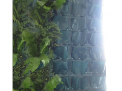 墙体种植袋--墙体绿化专用图2