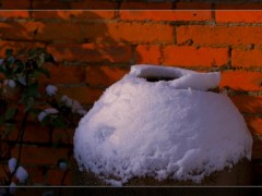 西塘的雪