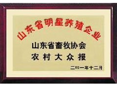 简介：
