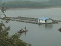 初冬天气变化大　水产养殖要防病
