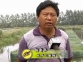 仙桃水产专家指导黄鳝投苗后管理要点