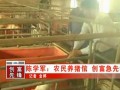 大学生猪倌的养猪经