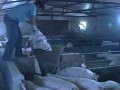 养猪养鸡有高人支招
