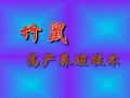 竹鼠高产养殖技术