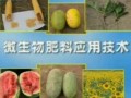 微生物肥料的应用技术