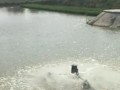 生物浮床鱼菜共养教学