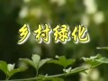 乡村绿化