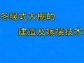 冬暖式大棚的建造及嫁接技术