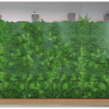 墙体绿化|立体种植|自灌溉柔软型