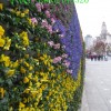 上海外滩国庆花墙指定产品|单孔套装|花墙|花柱|立体蔬菜墙