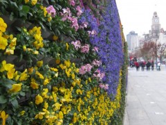 上海外滩国庆花墙指定产品|单孔套装|花墙|花柱|立体蔬菜墙图2