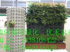上海外滩国庆花墙指定产品|单孔套装|花墙|花柱|立体蔬菜墙图3