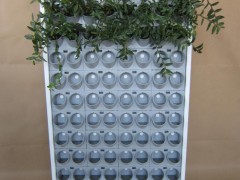 全自动种植机器（双面）|上海外滩花墙升级产品图2