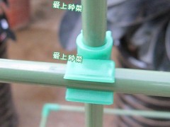 阳台种菜 铁线莲 瓜果藤蔓 攀爬植物支柱 包塑钢管 爬藤支架 新式图2