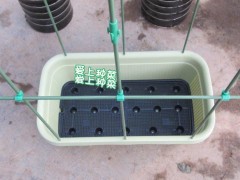 阳台种菜 铁线莲 瓜果藤蔓 攀爬植物支柱 包塑钢管 爬藤支架 新式图3