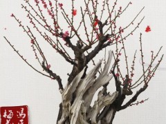 梅花盆景图3