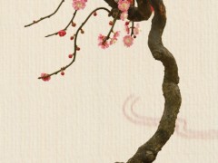 梅花盆景图3