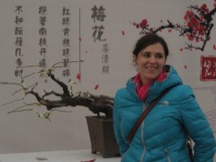 梅花盆景图3