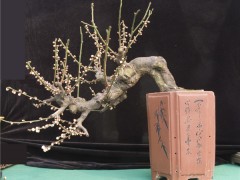 悬崖式