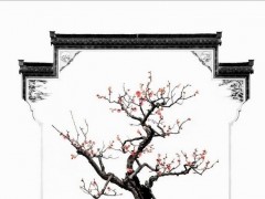梅花盆景图2