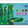黄瓜座果顶花不落灵