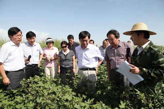 大力推动西部现代农业发展和中亚农业科技合作