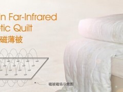 中脉生态能量睡眠系统图3