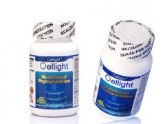 Cellight图3