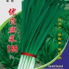 优质韭菜189F1种子