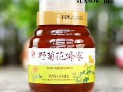 野菊花蜂蜜图2