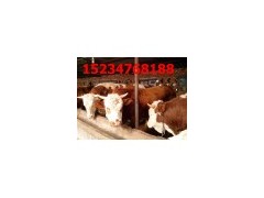 急急急合作社转型低价出售肉牛