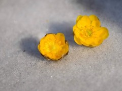 简介：