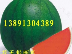 陕西大棚西瓜产地花皮西瓜产地黑皮西瓜行情京欣西瓜最新价格图3