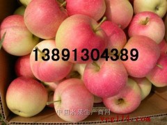 陕西早熟苹果价格陕西藤木苹果基地美八苹果行情夏红苹果代办图3