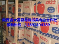陕西冷库红富士苹果价格陕西冷库箱装红富士苹果代办红富士苹果图2